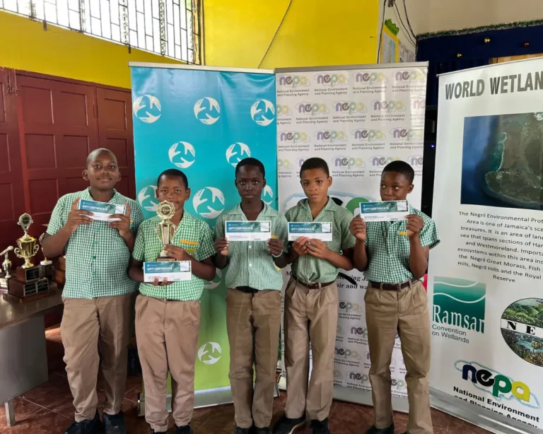 World Wetlands Day 4