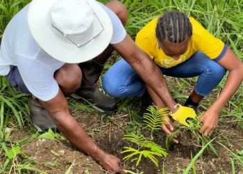 Celebrating Earth Day